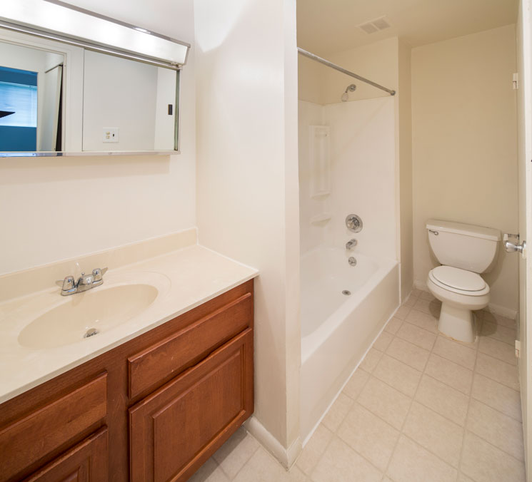 bathroom with sink and toilet bowl